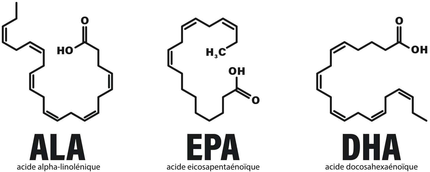 L’EPA et le DHA peuvent être synthétisé à partir de l’ALA